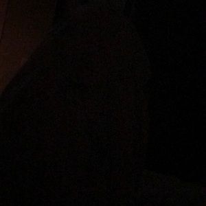 Meet your Posher, Christie